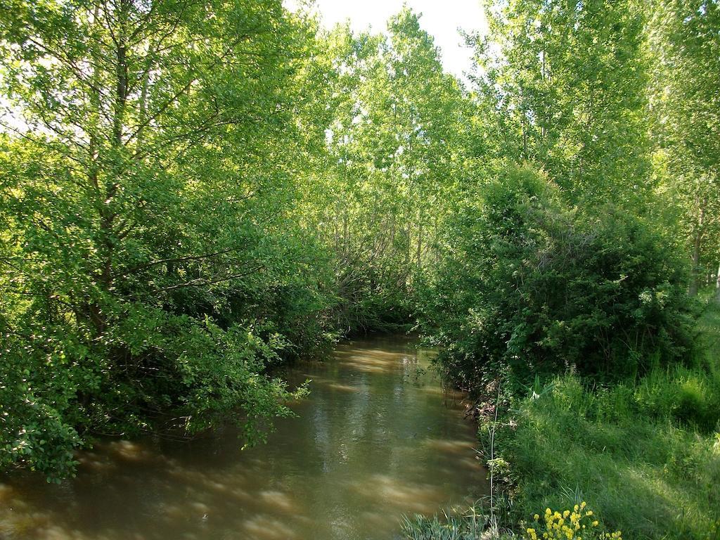 La Cle Des Chants Tauxigny ภายนอก รูปภาพ